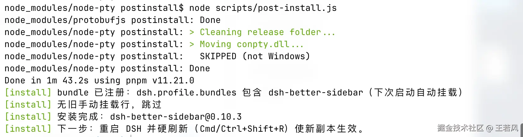 DSH-better-sidebar 安装输出