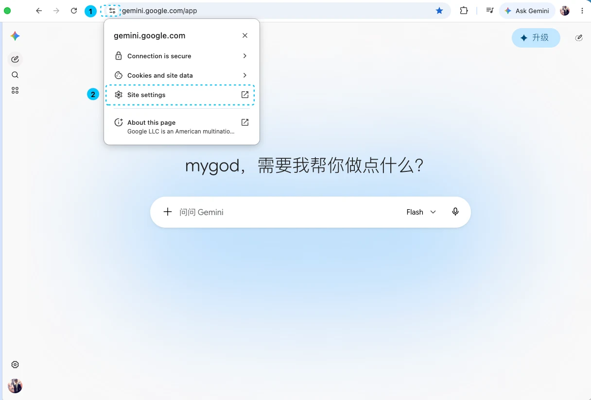点击 Chrome 地址栏左侧图标,打开 gemini.google.com 的网站信息弹窗